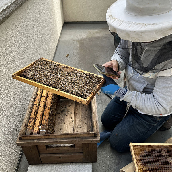 【完売】HONEYMARU 人形町はちみつ 非加熱 百花蜜 国産はちみつ(蜂蜜)160g